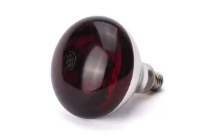 Infrarød varmepære, HENDI, rød, 230V/250W, ø125x(H)170mm Diverse Varmeholding 2