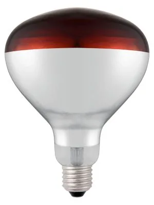 Infrarød varmepære, HENDI, rød, 230V/250W, ø125x(H)170mm Diverse Varmeholding