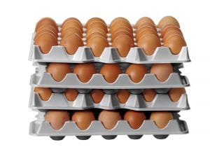 Sett med 4 eggebrett for HENDI OVOBOX 120, HENDI, 291x288x(H)41mm Kjøkkenredskaper 2