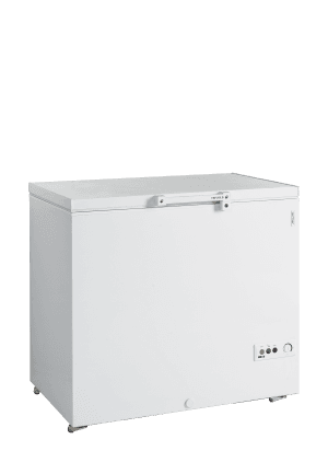 Iskrem fryser, Solide lokk FR305 SL, Vol: 278 / 273  liter, 230v Eksponeringsdisker