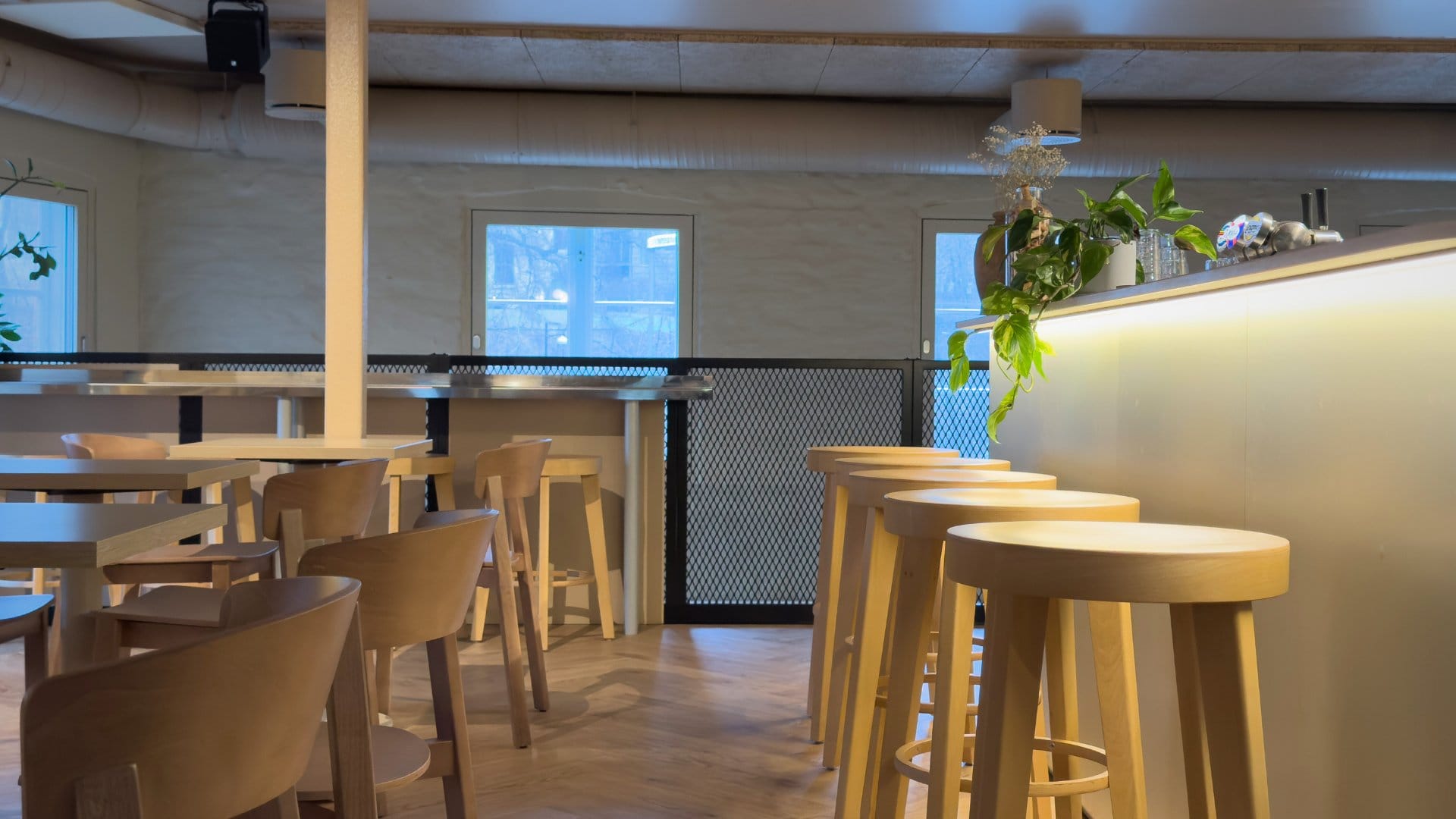 Moderne kafé med trestoler og planter