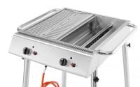 Xantos gassgrill – kompakt grill med 2 brennere Gass- og kullgrill 4